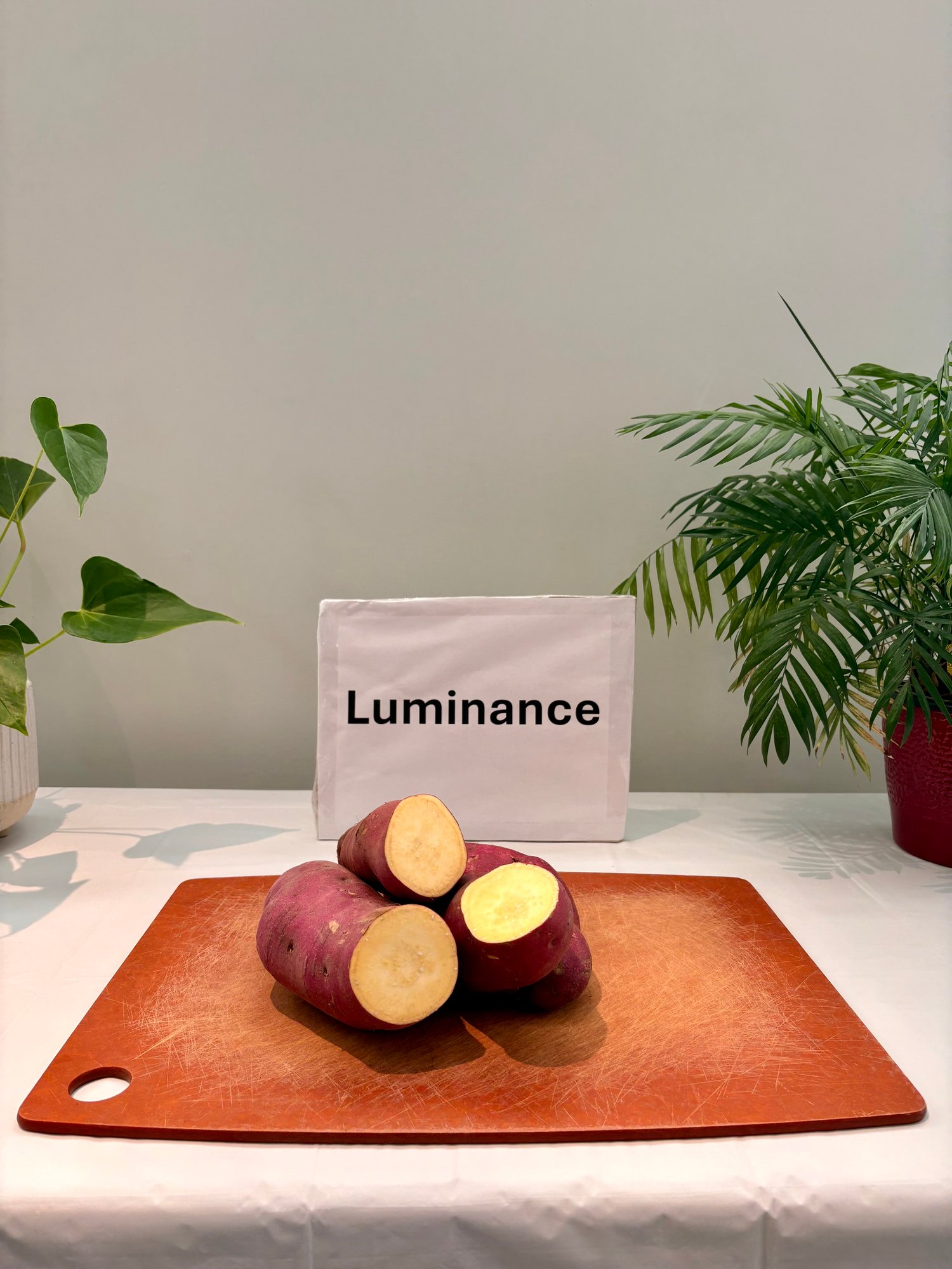 LUMINANCE